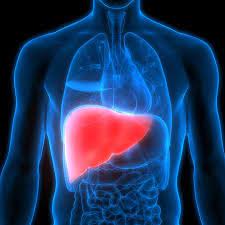 Projeto “Hep-ØN” quer acabar com as hepatites virais no Oeste