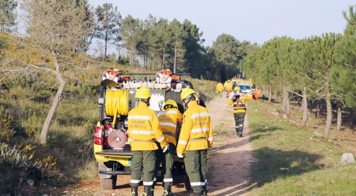 Fundo Ambiental apoia vários projetos na região Oeste