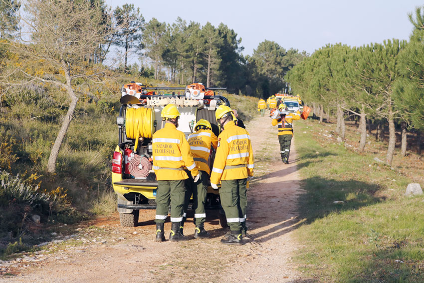 Fundo Ambiental apoia vários projetos na região Oeste