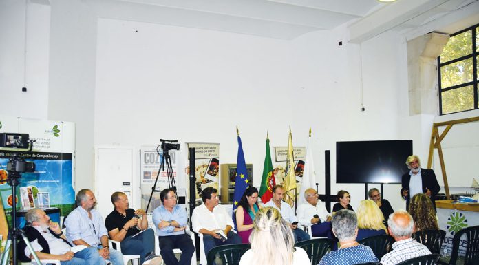 Há falta de planeamento e de estratégia em relação ao comércio caldense