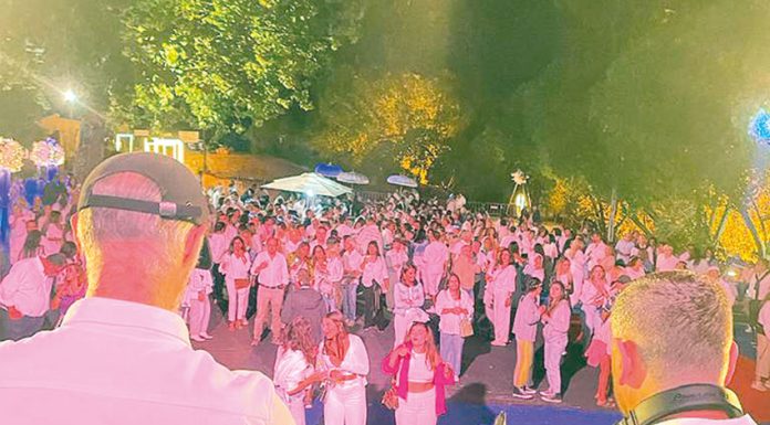 Festa Branca juntou 800 pessoas no Parque