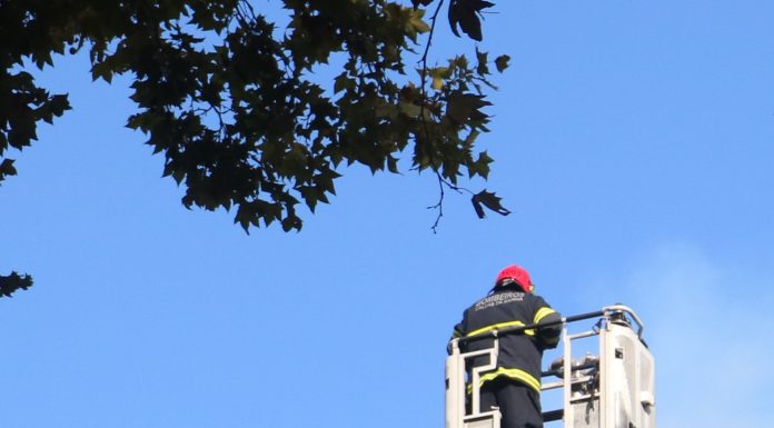 Incêndio destruiu cobertura de um dos Pavilhões do Parque