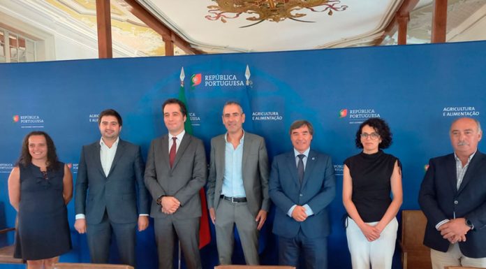 Problemas da Pera Rocha chegam ao governo