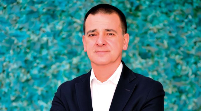 Magic Beans estima terminar 2023 com crescimento de 50%