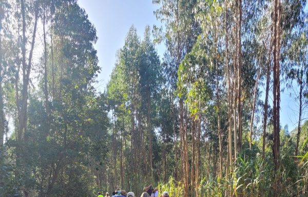 Caminhadas regressam em março de 2024 a A-dos-Francos