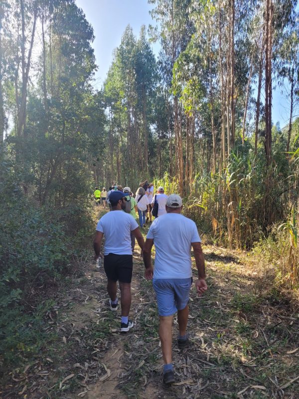 Caminhadas regressam em março de 2024 a A-dos-Francos