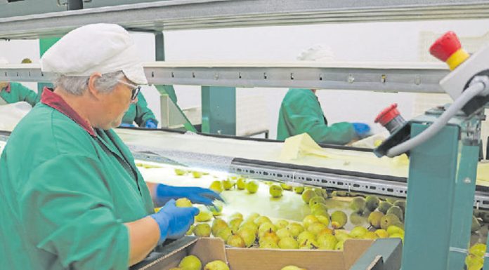 Economia Social injetou 5,6 mil milhões de euros na economia nacional em 2020