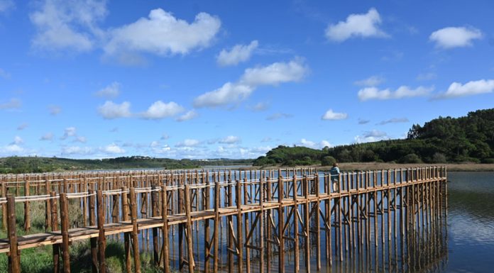 Cais Palafítico da Barrosa é inaugurado no próximo sábado