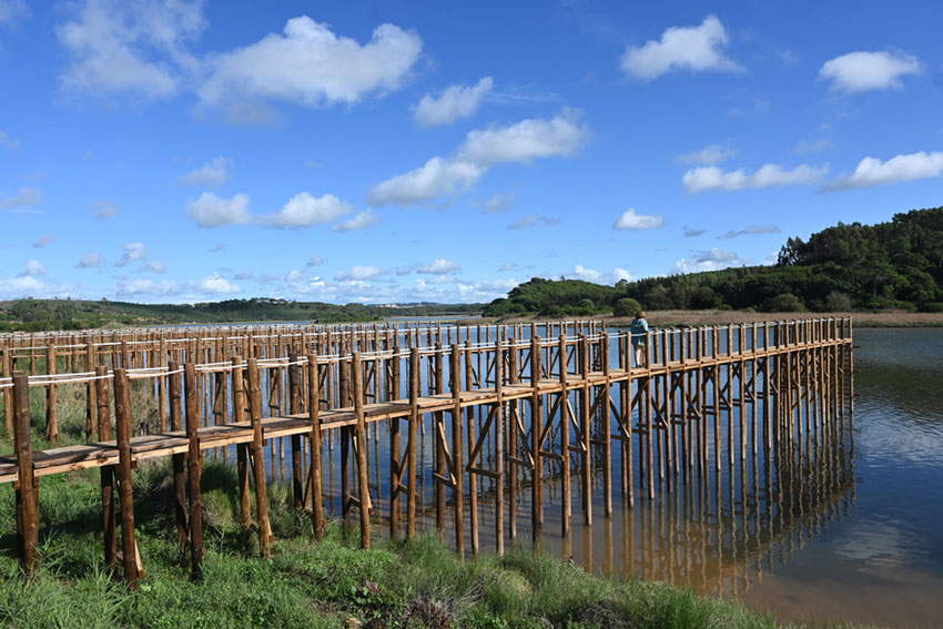 Cais Palafítico da Barrosa é inaugurado no próximo sábado