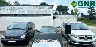 Centro: Detidas 14 pessoas por tráfico de estupefacientes