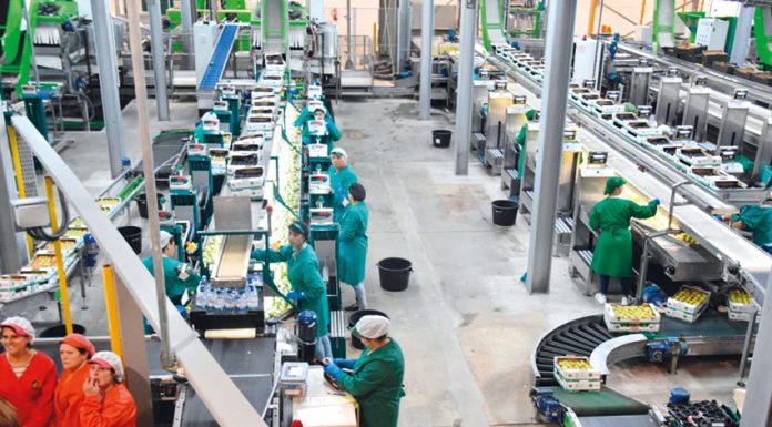 Há 11 cooperativas da região nas 100 maiores do país