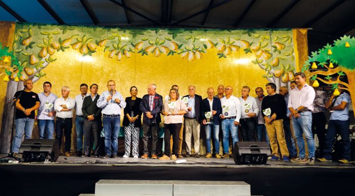 Vinhos leves da região premiados nas Adiafas