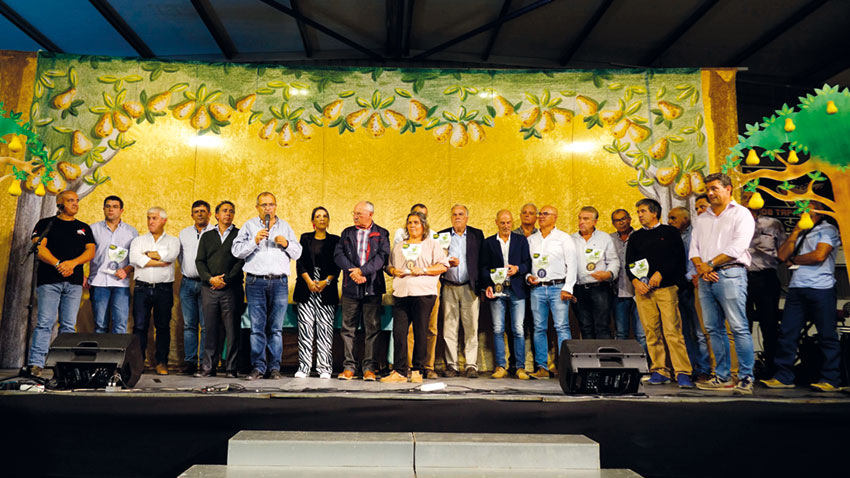Vinhos leves da região  premiados nas Adiafas