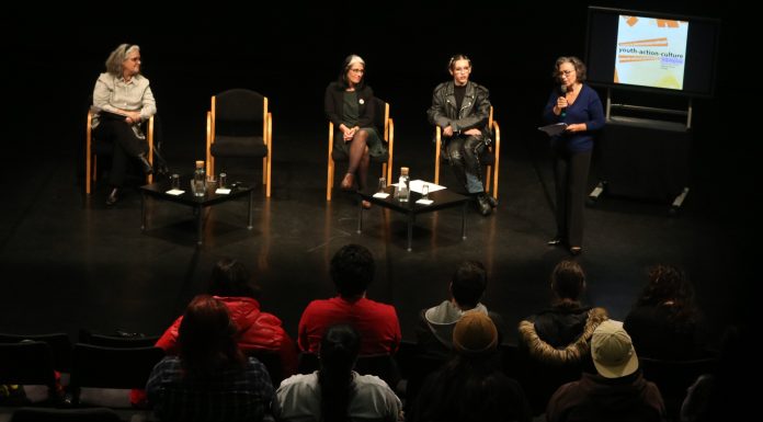 Jovens debatem futuro no Youth Action Culture