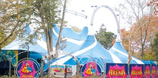 Circo no Parque D. Carlos causa polémica