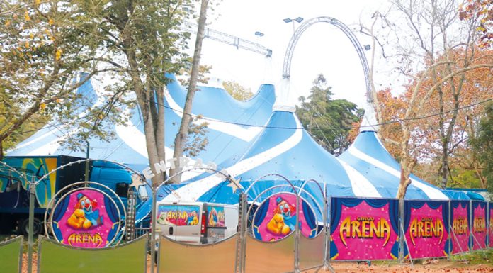 Circo no Parque D. Carlos causa polémica
