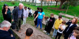 Alunos semearam trigo barbela no Cadaval