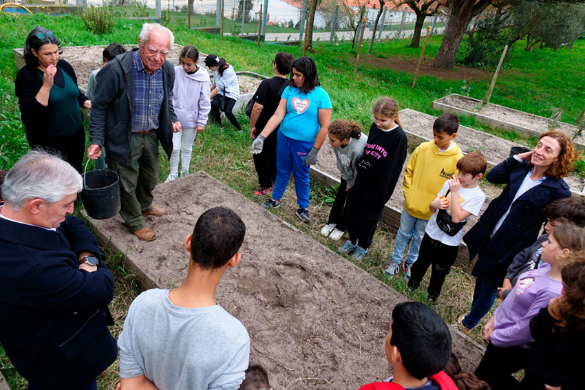 Alunos semearam trigo barbela no Cadaval