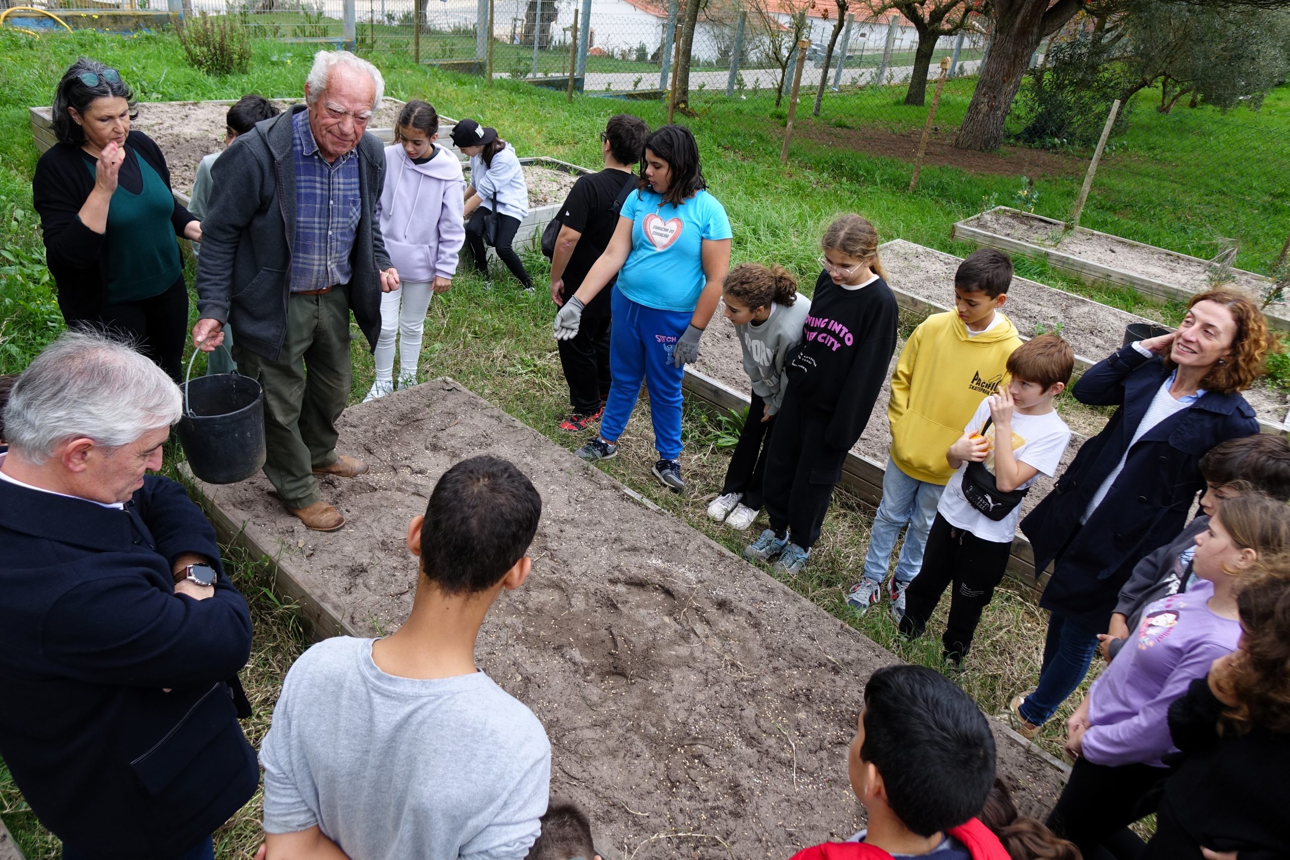 Alunos semearam trigo barbela no Cadaval