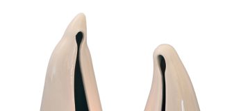 Cencal apresenta presépio feito em prototipagem