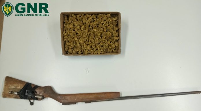 Homem detido por tráfico de droga na Benedita