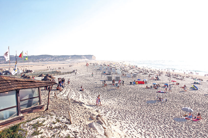 Praia da Foz do Arelho teve bandeira vermelha devido a avistamento de tubarão