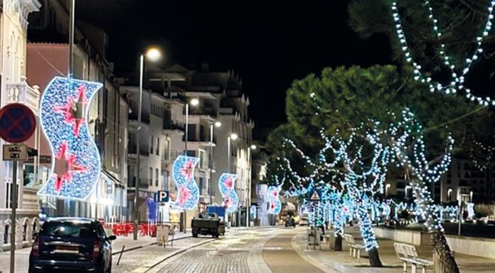 Junta quer árvore na Baía de São Martinho no próximo ano