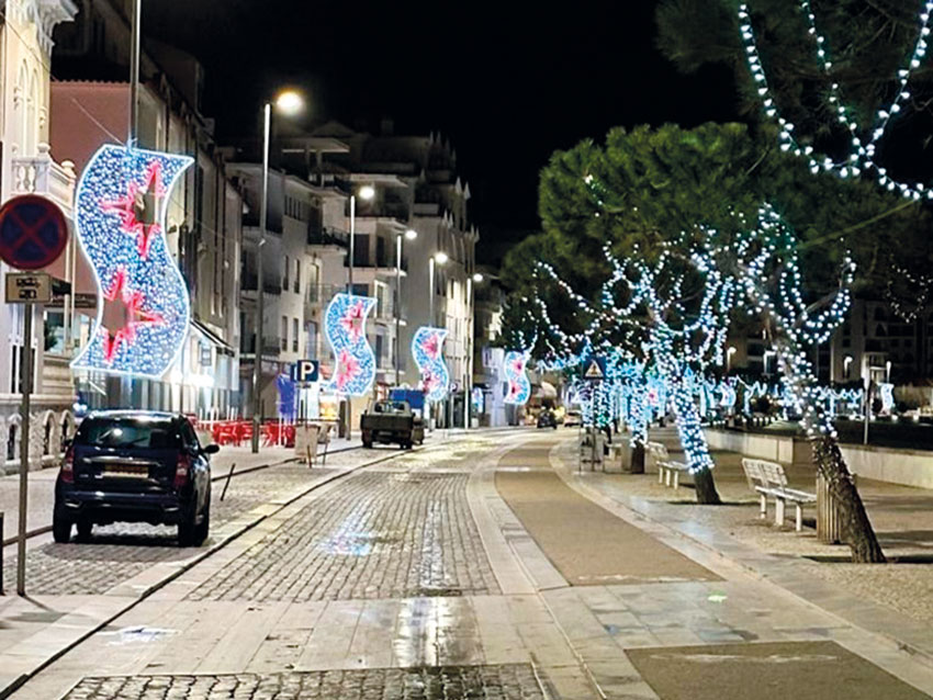 Junta quer árvore na Baía de São Martinho no próximo ano