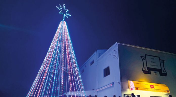 Caldas: Árvore de Natal de 12 metros ilumina localidade de Chãos