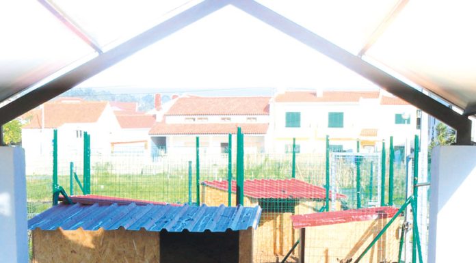 Foz do Arelho tem uma nova quinta pedagógica de visita gratuita