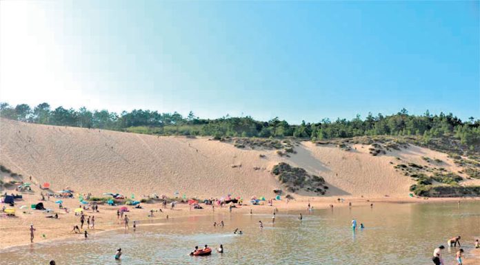 Governo avança com estudo para classificar maior duna de Portugal