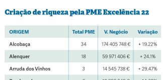 Torres Vedras tem mais empresas, mas as de Alcobaça faturam mais
