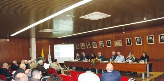 Fusão das Caixas Agrícolas da Lourinhã e Cadaval em estudo