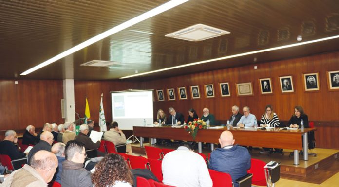 Fusão das Caixas Agrícolas da Lourinhã e Cadaval em estudo