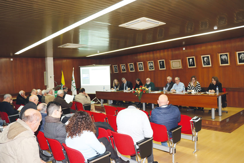 Fusão das Caixas Agrícolas da Lourinhã e Cadaval em estudo