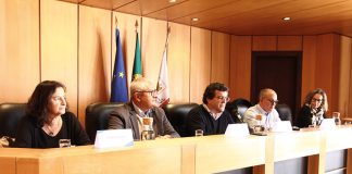 Natação: Caldas da Rainha recebe perto de mil nadadores de sexta-feira a domingo