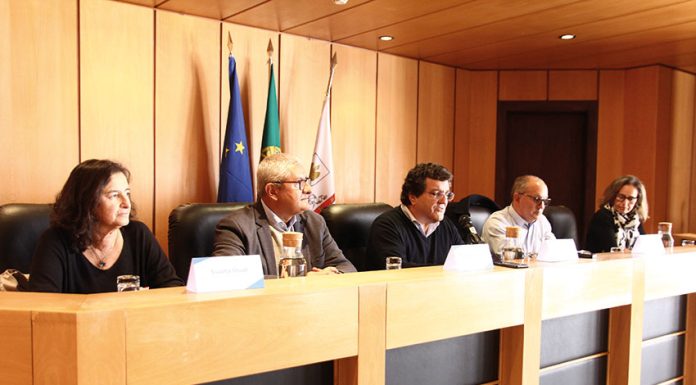 Natação: Caldas da Rainha recebe perto de mil nadadores de sexta-feira a domingo