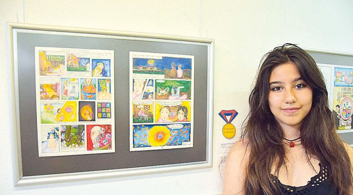 Bibliotecas promovem iniciativas