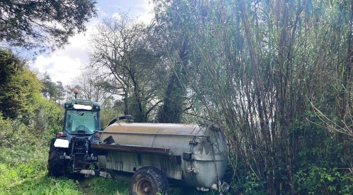 Homem identificado por descarga ilegal de águas residuais em Alcobaça
