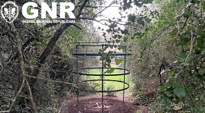 Detido por caça através de processos e meios não autorizados