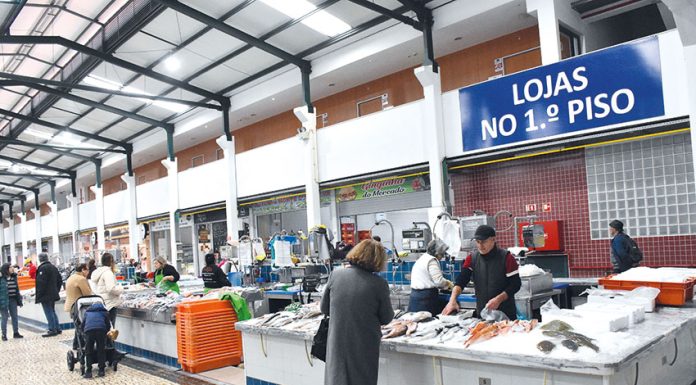 Praças do Peixe de Cascais e de Setúbal