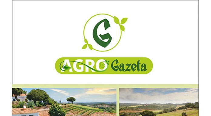 Agro Gazeta: Celebrar a diversidade e inovação agrícola no Oeste
