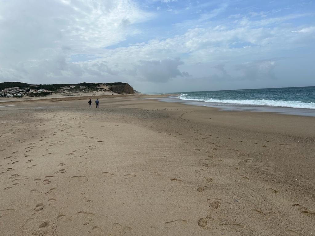 dd9b12d2-8644-4c71-8568-d30c32afd211