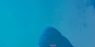 Stereossauro tem novo álbum instrumental onde se destaca a guitarra portuguesa