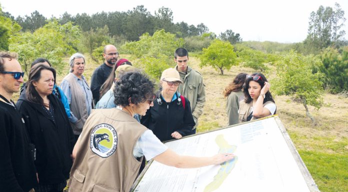 Caldas: Ecocaminhada no Paul de Tornada juntou duas dezenas