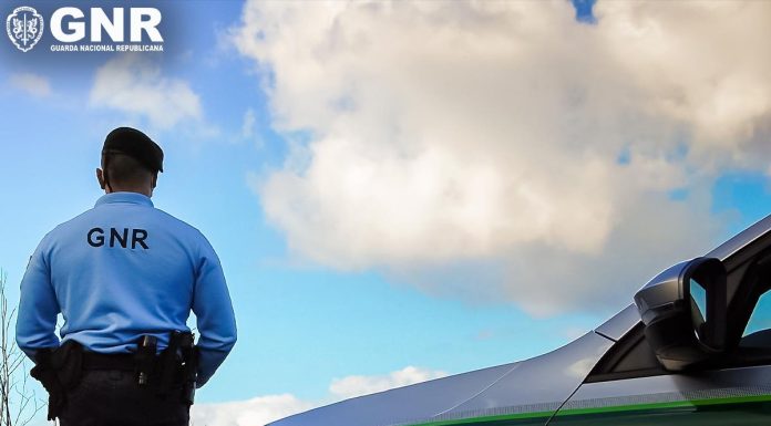 Prisão preventiva por roubos, sequestro, danos patrimoniais e posse de arma proibida nas Caldas