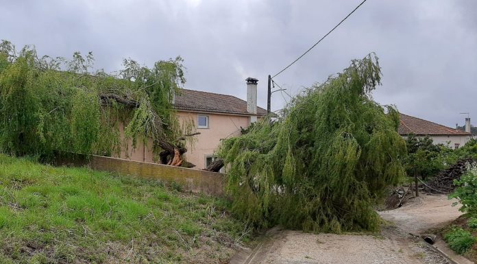 Proteção Civil do Bombarral registou mais de 20 ocorrências ontem