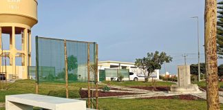 Peniche arboriza espaços públicos