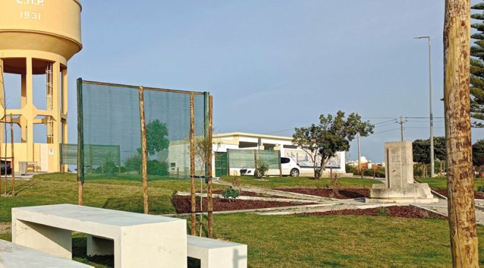 Peniche arboriza espaços públicos