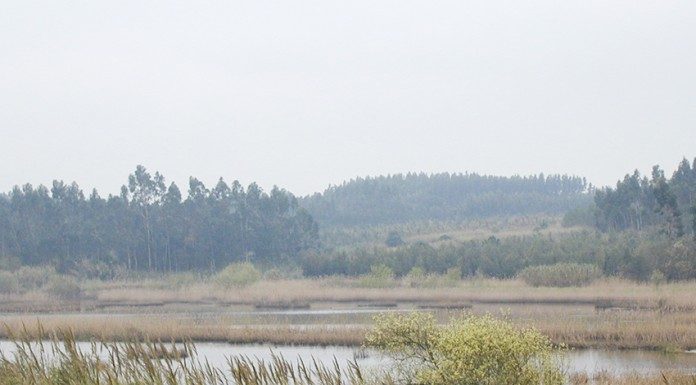 Ecocaminhada no Paul de Tornada